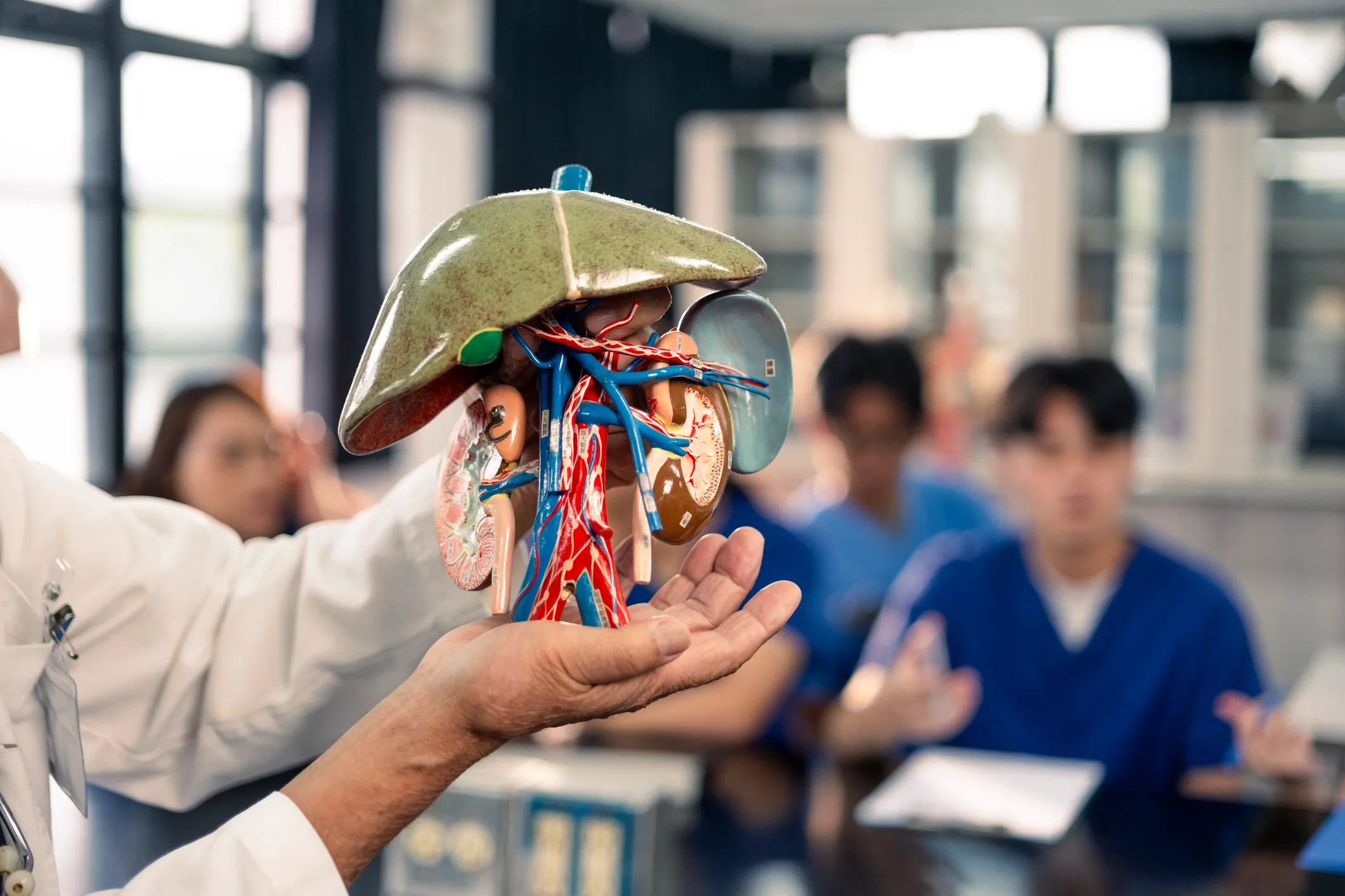 Kidney Transplant Evaluation & Care